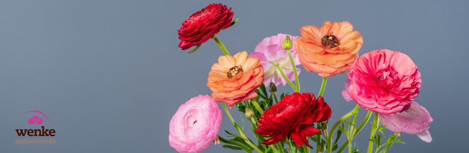 bouguet of flowers