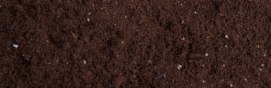 potting soil