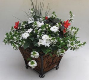 Plant Your Own Container Garden: 4/25 @6pm @ Wenke Greenhouse Retail Store | Kalamazoo | MI | US