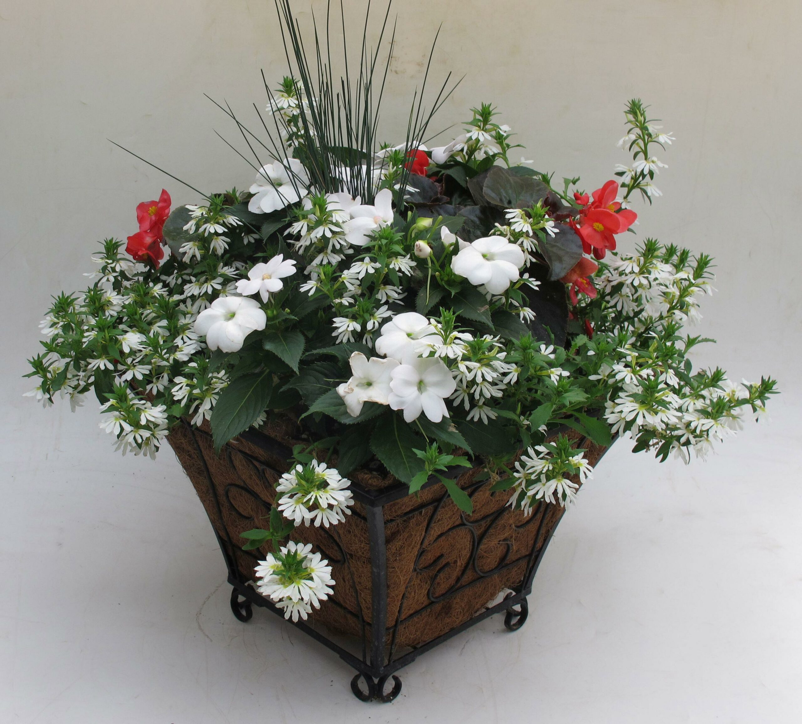 Plant Your Own Container Garden: 5/23 @6pm @ Wenke Greenhouse Retail Store | Kalamazoo | MI | US