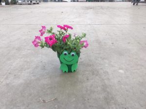 Kids Workshop: Frog Flower Pot 10:45am @ Wenke Greenhouse Retail Store | Kalamazoo | MI | US