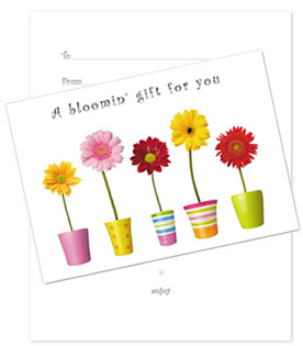 All Occasion Card "A Bloomin' Gift for You'