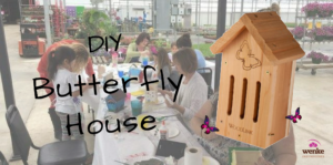 Kids Workshop: DIY Butterfly House 10am SOLD OUT @ Wenke Greenhouses Retail Store | Kalamazoo | MI | US