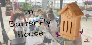 Woodlink Butterfly House DIY Craft Kit