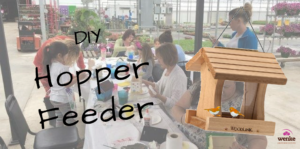 Kids Workshop: DIY Hopper Bird Feeder 10am @ Wenke Greenhouses Retail Store | Kalamazoo | MI | US