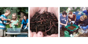 Worm Composting 101 @ Wenke Greenhouse Retail Store | Kalamazoo | MI | US