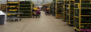 Good Neighbor Day June 4, 2020 (rescheduled from May 21, 2020) @ Wenke Greenhouses Retail Store | Kalamazoo | MI | US