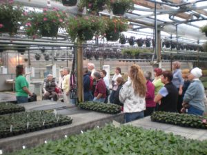 Wenke Greenhouses Production Tour @12:30pm @ Wenke Wholesale Production Location | Kalamazoo | MI | US