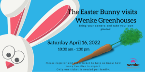 The Easter Bunny visits Wenke Greenhouses