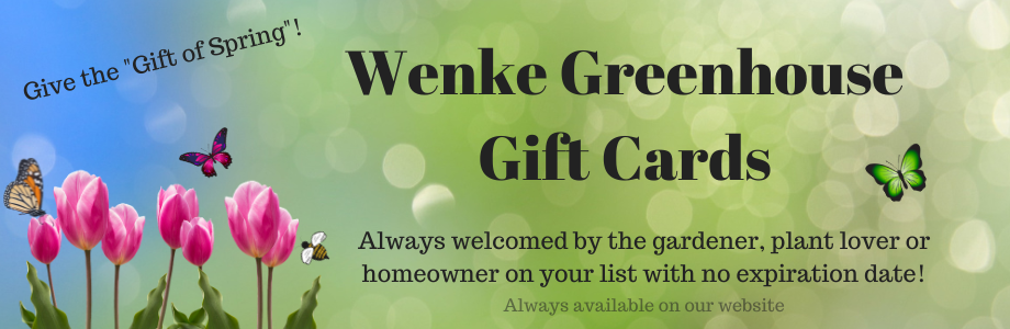 wenke gift cards available online