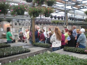 Wenke Greenhouses Production Tour @12:30pm