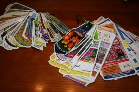 plant identification tags on metal ring