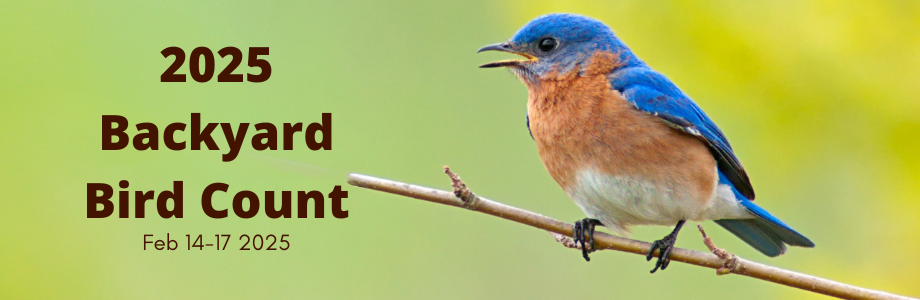 bird sitting on branch