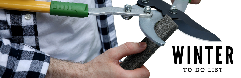 male sharpening garden pruners