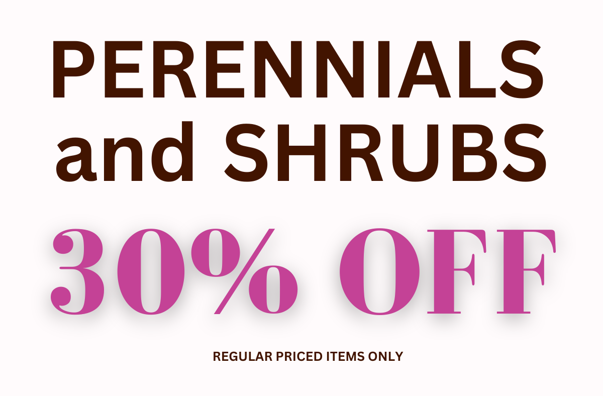 perennials and shrubs 30% off
