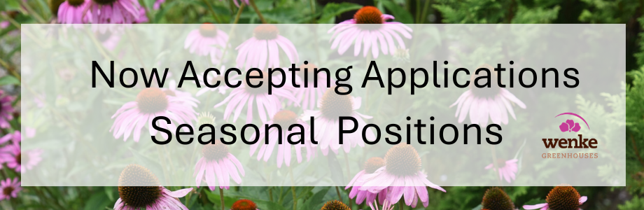 Accepting Applications