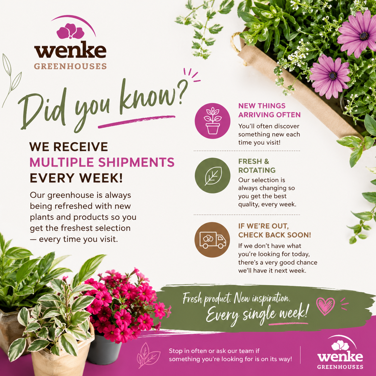 Did you know? 🌿 We receive multiple shipments every single week—so our greenhouse is always being refreshed with new plants and products! That means: • You’ll often discover something new each time you visit • Our selection is always fresh and rotating • And if we’re out of something today, there’s a very good chance we’ll have it again soon Because of how quickly things move, the best advice we can give is to stop in often or ask our team if something you’re looking for is on its way.