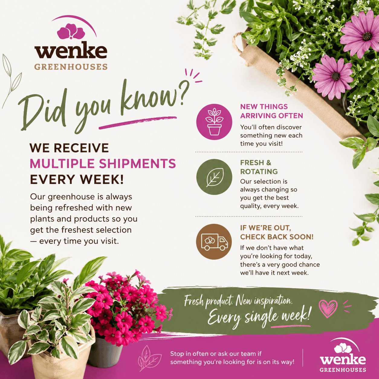 Did you know? 🌿 We receive multiple shipments every single week—so our greenhouse is always being refreshed with new plants and products! That means: • You’ll often discover something new each time you visit • Our selection is always fresh and rotating • And if we’re out of something today, there’s a very good chance we’ll have it again soon Because of how quickly things move, the best advice we can give is to stop in often or ask our team if something you’re looking for is on its way.