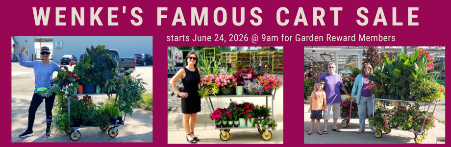 Slider Cart Sale (6)