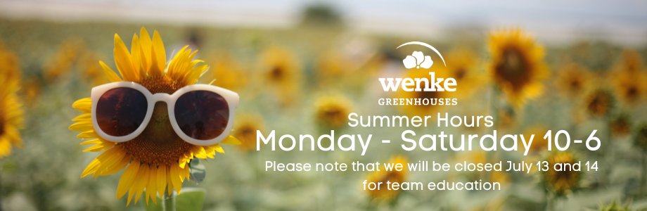 summer hours (3)