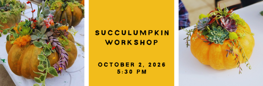 Succulumpkins