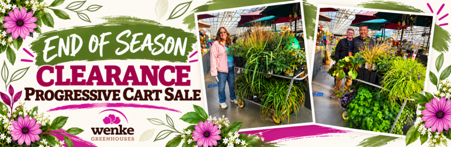 End-of-season progressive cart sale